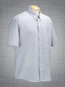Men's Short Sleeve Classic Striped Oxford - Blue